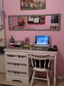 Zebra Room Decorations