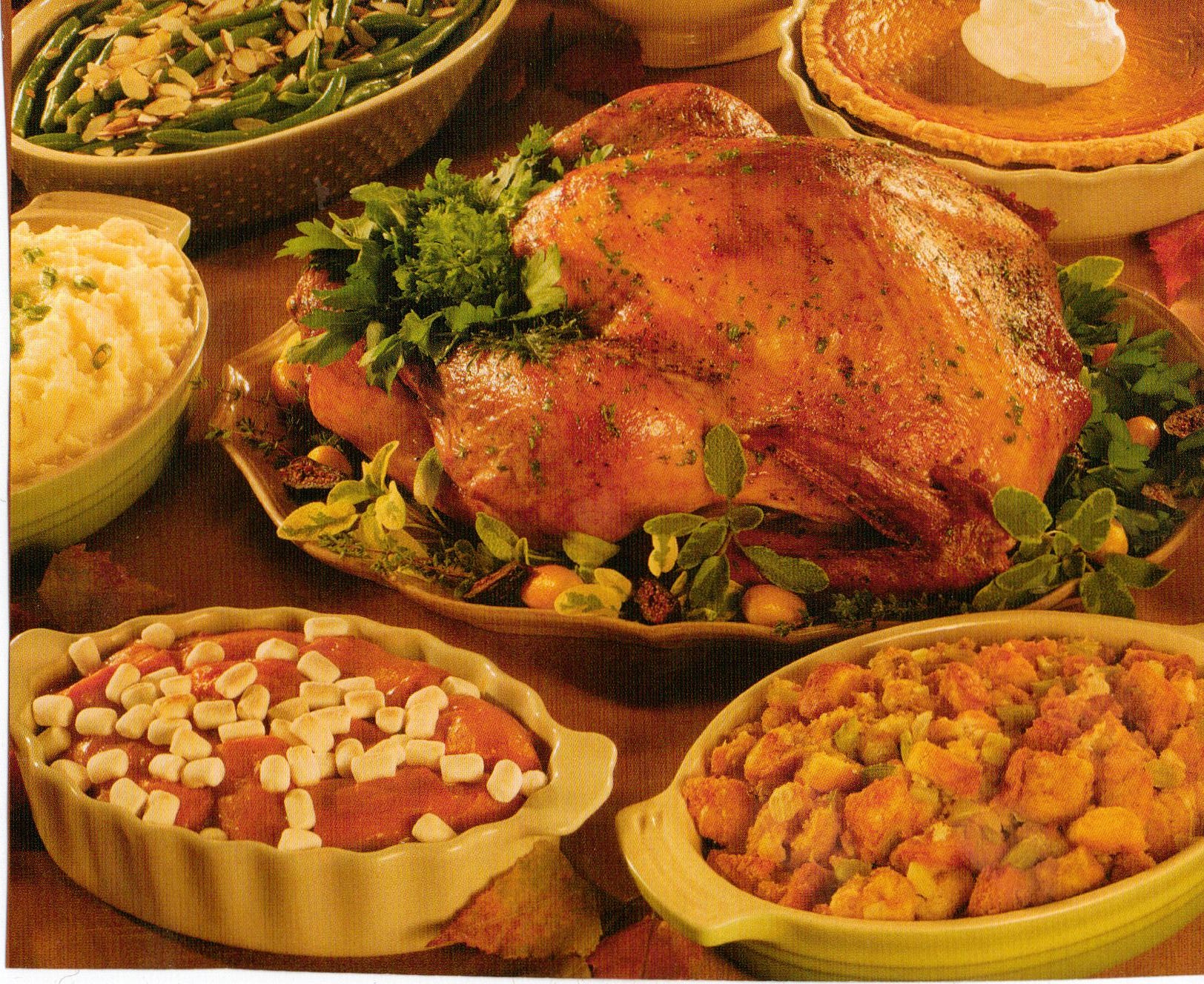 Williams sonoma thanksgiving napkins