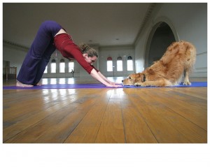 downward facing doga pose